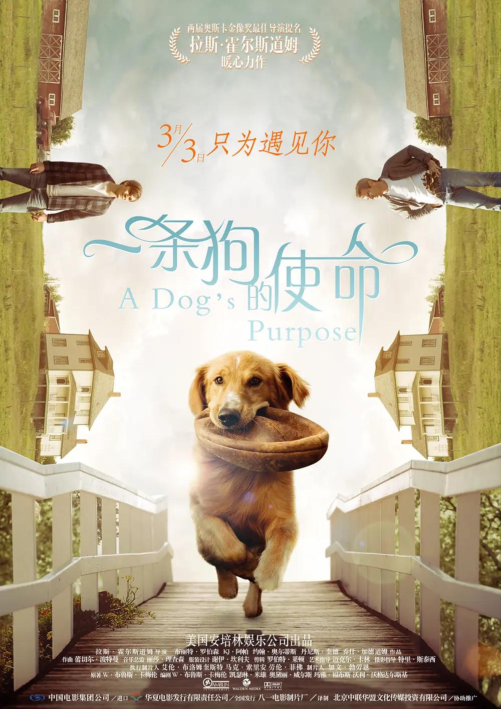 裸妇厨房风流在线观看(💍)
