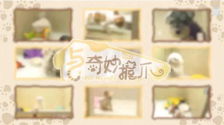 《与奇妙握爪》全集高清完整版在线观看与剧情解析