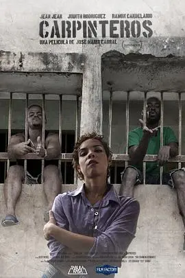 《啄木鸟2017》全集高清完整版在线观看与剧情解析