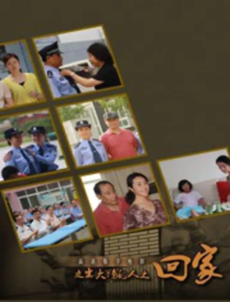 《回家2016》全集高清完整版在线观看与剧情解析