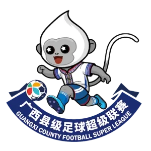 广西县级足球超级联赛 北海市合浦县队1-0钦州市钦北区队20260315