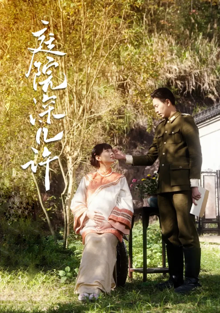 《庭院深几许》全集高清完整版在线观看与剧情解析