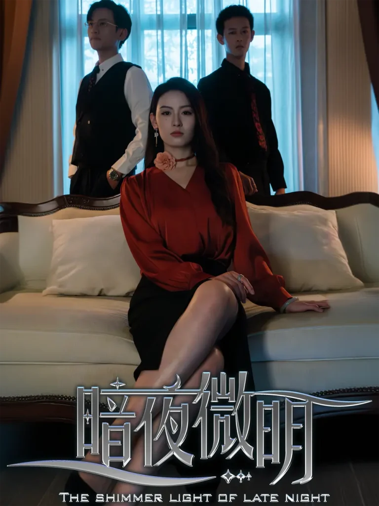 《暗夜微明》全集高清完整版在线观看与剧情解析