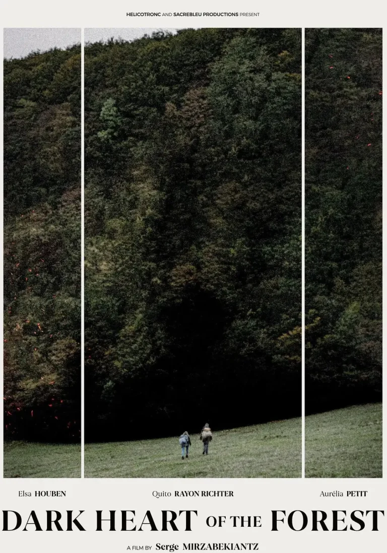 《森林的黑暗心脏》全集高清完整版在线观看与剧情解析