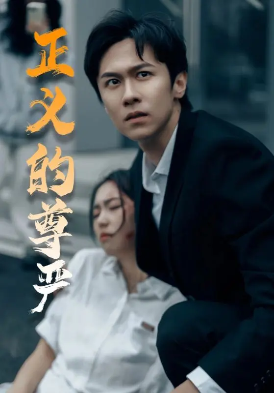 《正义的尊严》全集高清完整版在线观看与剧情解析