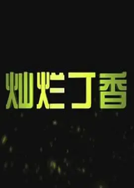 《灿烂丁香》全集高清完整版在线观看与剧情解析