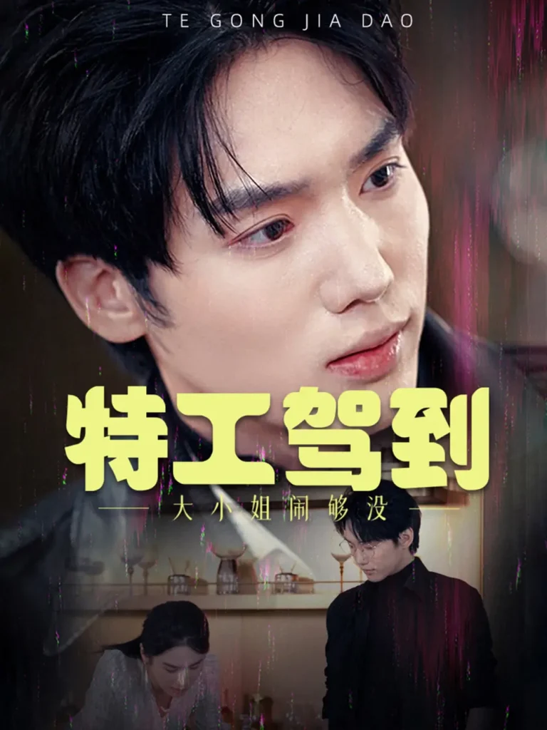 《特工驾到大小姐闹够没》全集高清完整版在线观看与剧情解析