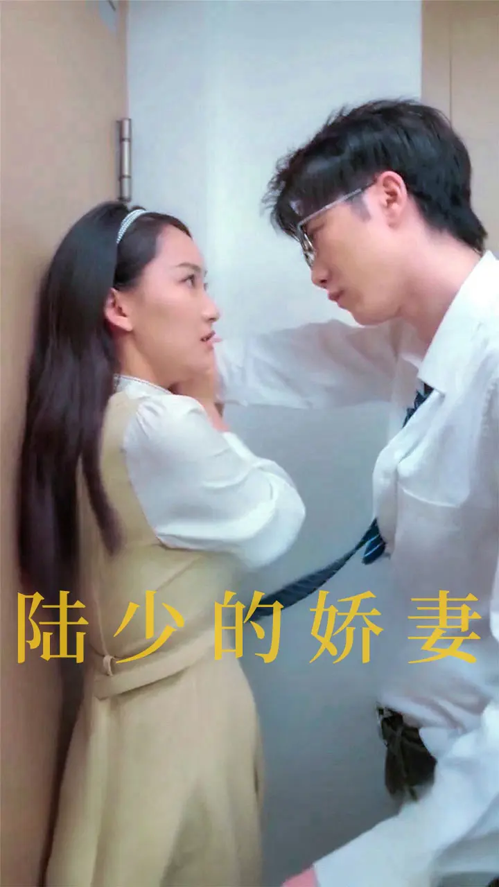 《陆少的娇妻》全集高清完整版在线观看与剧情解析