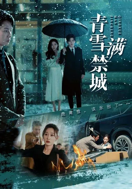 《青雪满禁城》全集高清完整版在线观看与剧情解析