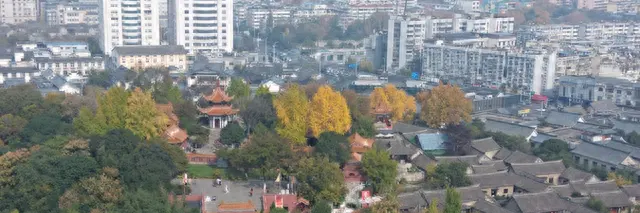 《唐朝诡事录》全感剧场签约落户徐州户部山 _ 资讯配图