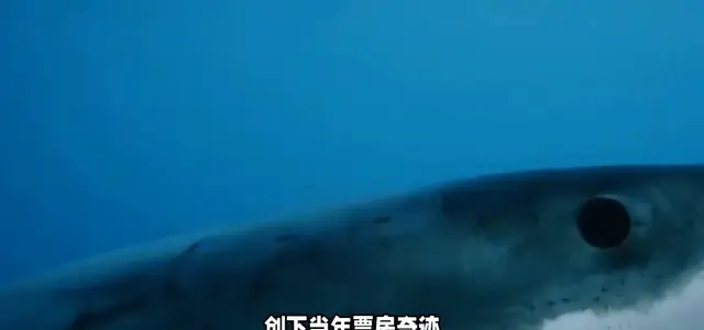 《大白鲨》内地首次公映，1975年经典惊悚片登陆院线 _ 现场图