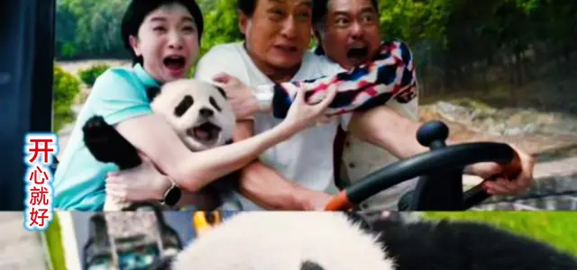 《熊猫计划之郭落奇遇记》定档2024暑期档，国宝熊猫主演首部都市武侠题材亲子动画电影 _ 现场图